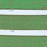 Emerald green Christmas ribbon with wire edge