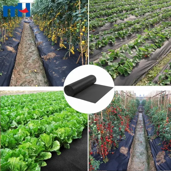 Geotextilien aus Vliesstoffen für die Landwirtschaft: Bodenbedeckung und Schutz von Pflanzen und Früchten