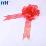 64x860mm Pull Up Tape - Glossy clear film with 5 line accents