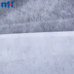 Ikki nuqtali to'qilmagan termoyadroviy interfeys